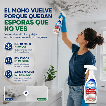 Spray removedor de moho y hongos